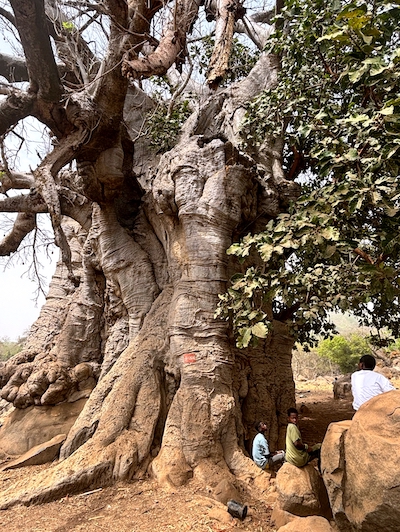 sejour atypique senegal