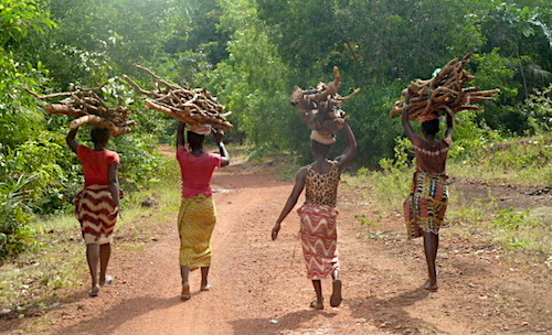 voyage afrique